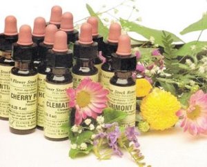 flores-de-bach
