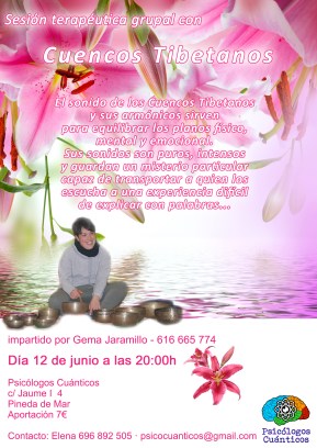 Multi-colored lilies on a dark background