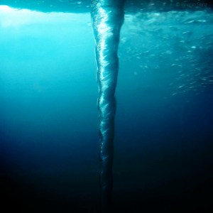 3390620180_5a76612023_o_d