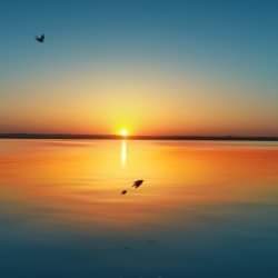 FB_IMG_1445779100652